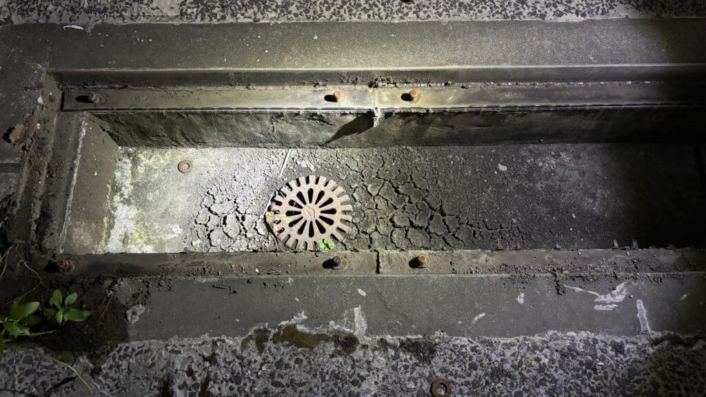 排水口に汚泥がたまり草が生えてます