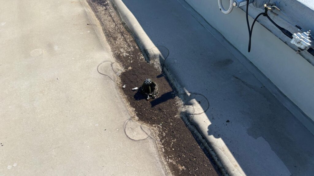 泥が排水口にたまっています