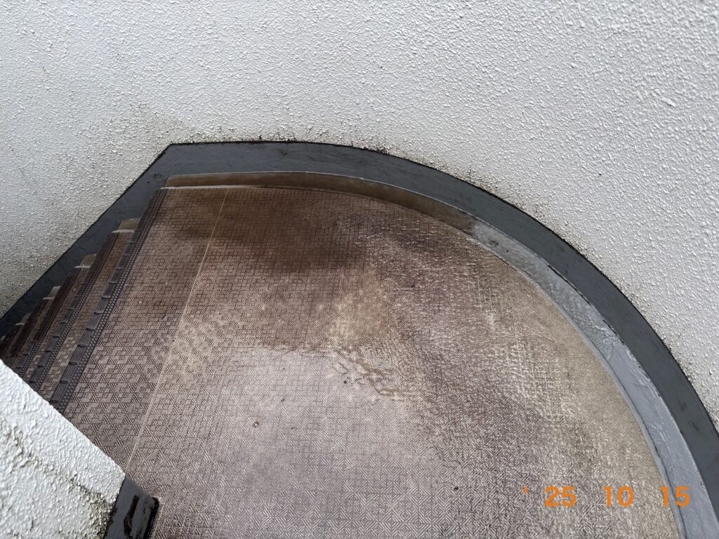 カビが床面にびっしり