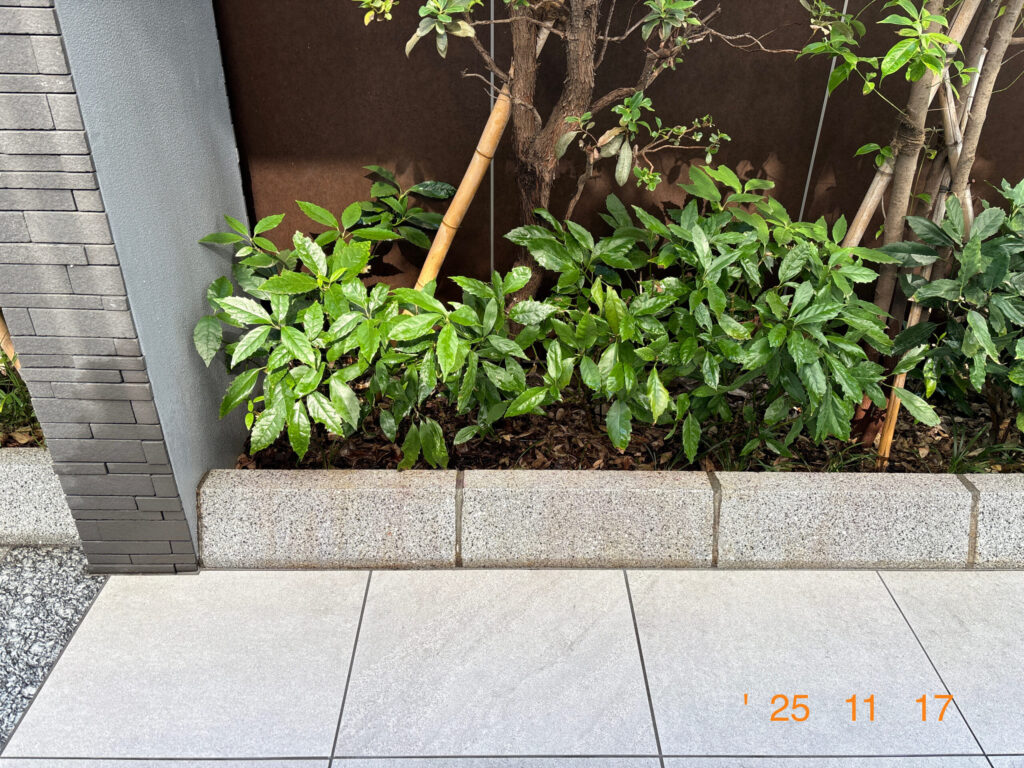 ブロックも床面もすっきりきれいになりました