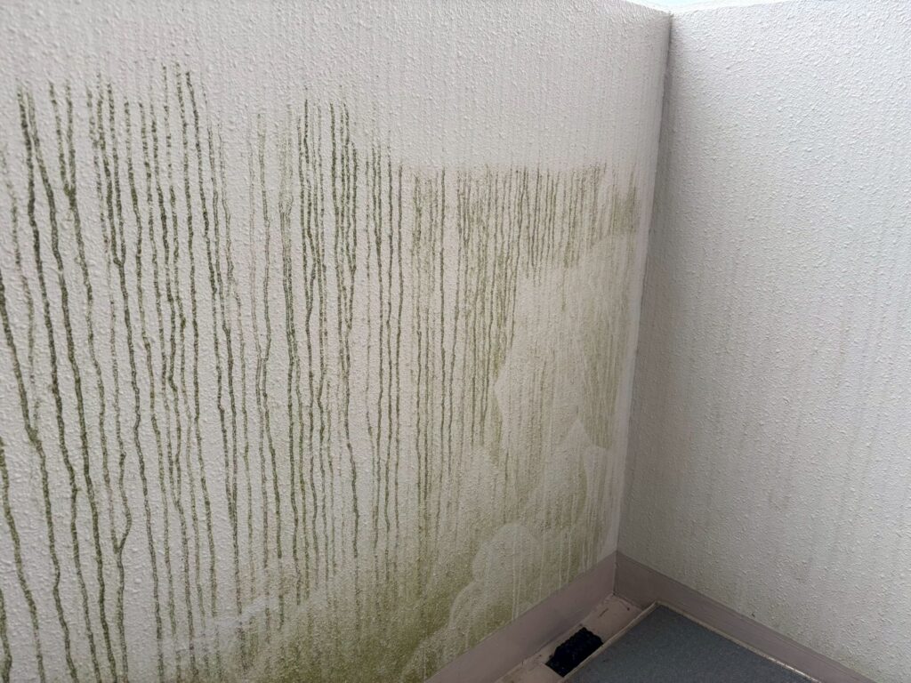 苔が雨垂れのように筋になっています。