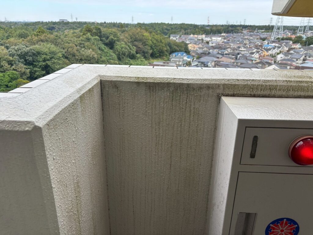 腰壁の他に消火栓などにも苔やカビがみられます