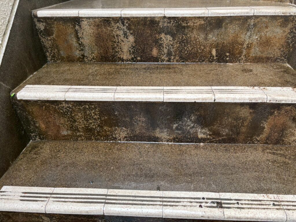 ささら巾木や踏面、ステップなどの苔がおちキレイに仕上がっています。