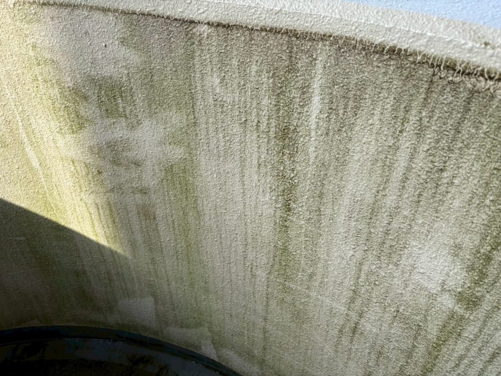 腰壁に苔やカビがびっしりはえています