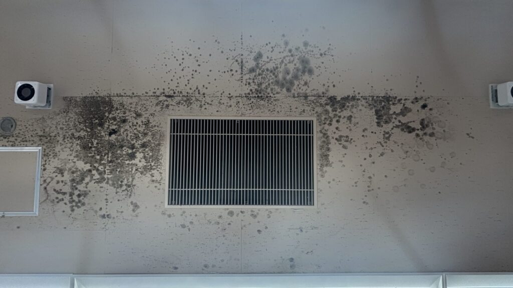 張り替えて1年の天井がカビで真っ黒です