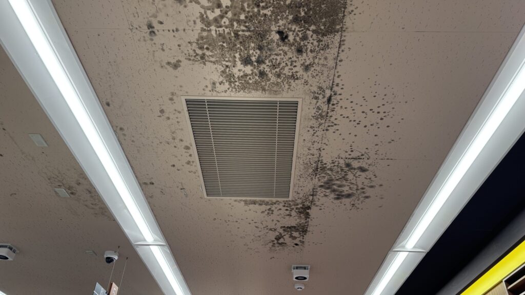 張り替えて1年の天井がカビで真っ黒です