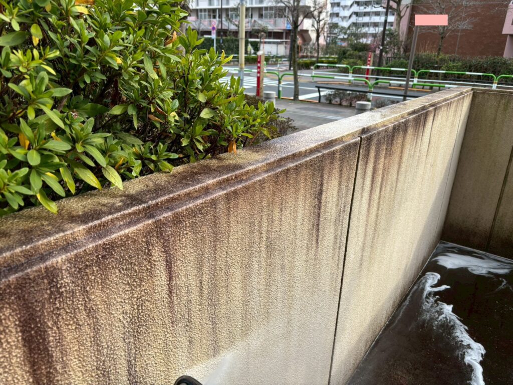 腰壁についた苔の写真