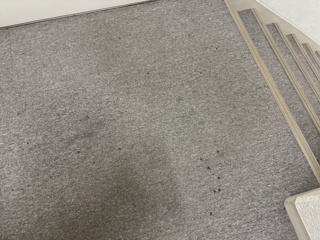 共用階段のカーペットに染み汚れがあります