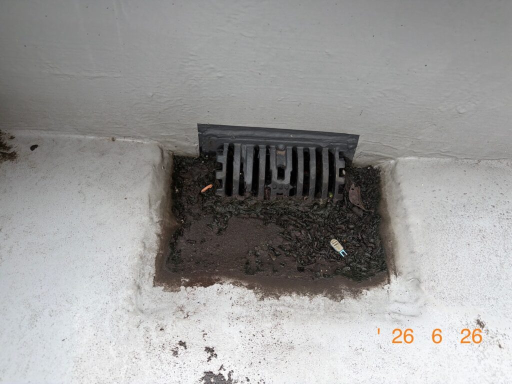 左の作業前は排水溝に枯れ葉や泥が堆積して完全に塞がっている