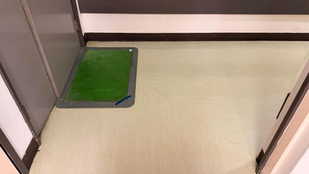 清掃完了の写真。汚れや傷も綺麗にとれました。